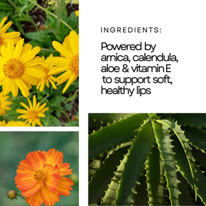 Brillo Labial al por Mayor de Alta Calidad de Marca Propia, Tubos de Brillo Labial Líquido de Alto Brillo, Maquillaje Vegetariano, Resistente al Agua e Hidratante - Product Image 5