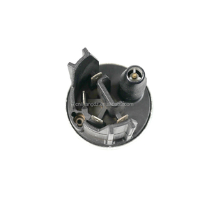OEM מקורי 12V משאבת דלק ללא מברשות מרוץ חשמלי 100103536 עבור פיג'ו - Product Image 2