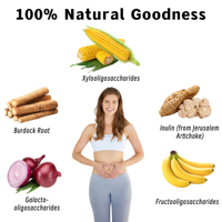 Capsules de prébiotiques OEM ODM avec capsules en cellulose végétale, complément alimentaire pour favoriser une digestion saine et une régularité optimale