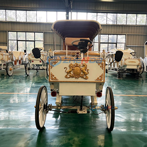 Carruaje de Caballos de Lujo Estilo Cenicienta, Eléctrico, para Bodas, de Alta Calidad, para Paseos Turísticos - Product Image 1