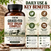 Capsules Premium de Complexe d'Organes de Bœuf Nourri à l'Herbe Lyophilisées – Nutrition Complète pour la Vitalité Quotidienne – Marque Privée, Fournisseur OEM en Gros