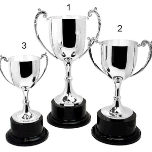 Premios al Primer Lugar en Torneos Deportivos, Competiciones, Copa de Trofeo Grande Plateada - Product Image 1