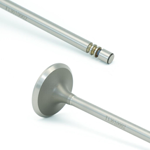 Válvula de Motor para Cadillac BLS 2.0 T Flexpower Z 20 LER OE:0641022 4500849 641022 Válvula de Admisión - Product Image 3