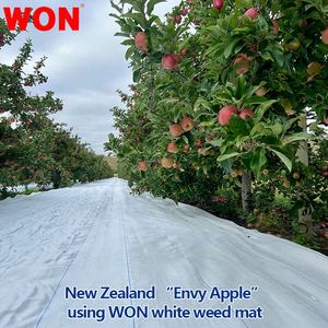 Tissu réfléchissant blanc WON, barrière anti-mauvaises herbes, couverture du <span class=keywords><strong>sol</strong></span>, tapis anti-mauvaises herbes tissé réfléchissant personnalisé pour serre, 10 à 20 ans - Product Image 4