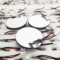 Transduser Ultrasonik Keramik Piezo Disc 1MHZ 2MHZ 3MHZ 4MHZ 5MHZ 8MHZ 10MHZ