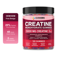 Gummies de Créatine Monohydrate 5000mg BCAA – Marque Privée, Formule Personnalisée, OEM, ODM, Vente en Gros, Approvisionnement en Vrac, Nutrition Sportive en Gros