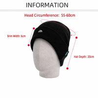 Bonnet d'hiver thermique en laine tricotée avec broderie exquise, unisexe, chaud, élégant, polyvalent et décontracté – Vente en gros