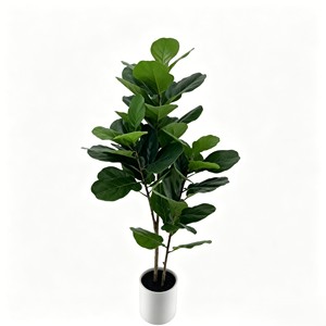Bassin blanc Fiddle - Feuilles décoratives d'intérieur pour sol, emballage monobloc, en plastique, 150 cm - Product Image 1