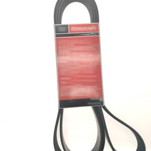 Nouvelle condition CM5Q-19A216AB 1761931 CM5Z-8678A <span class=keywords><strong>courroie</strong></span> <span class=keywords><strong>de</strong></span> <span class=keywords><strong>distribution</strong></span> en caoutchouc d'entraînement <span class=keywords><strong>de</strong></span> moteur <span class=keywords><strong>de</strong></span> voiture pour <span class=keywords><strong>2013</strong></span> pour <span class=keywords><strong>Ford</strong></span> Ecosport <span class=keywords><strong>Fiesta</strong></span> Focus - Product Image 5