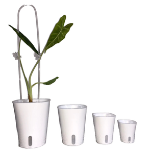 Pots intérieurs transparents, pot à fleurs automatique absorbant en plastique avec corde en coton, diamètre pour légumes verts, pots auto-arrosants - Product Image 2