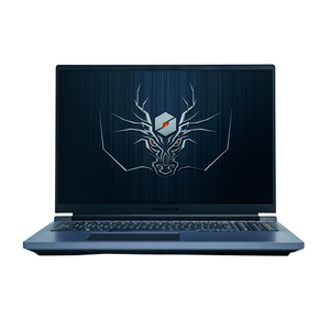 โน้ตบุ๊กเกมมิ่ง MECHREVO 16Pro ขนาด 16 นิ้ว การ์ดจอแยก R7-7745HX DDR5 165Hz 2.5k WiFi6 BT5.2 แรม 16GB ความจุ 512GB ปลั๊ก US/UK ระบบปฏิบัติการ Windows 11 - Product Image 1