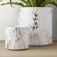 Pot Bunga Keramik Putih Desain Baru untuk Dalam & Luar Ruangan, Balkon, Dekoratif, Custom Embossed, Pot & Planter Taman