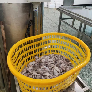 Buen <span class=keywords><strong>precio</strong></span> Frozen China Long Leg Octopus - Product Image 1