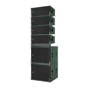 Dragonstage High Quality factory price Sound System Dual 10 inch line array system