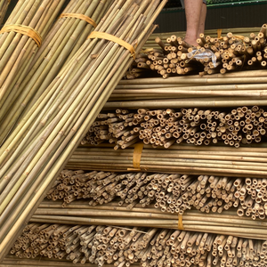 Cañas de bambú de primera calidad procesadas para bordes de jardín y proyectos agrícolas-Tamaños personalizables Fabricante vietnamita - Product Image 2