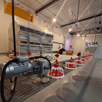 Système d'alimentation automatique au sol pour volailles, ligne d'alimentation pour l'élevage commercial de poulets de chair et de reproducteurs