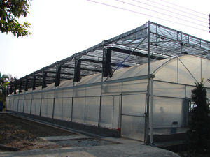 Sistema agricolo di coltura idroponica della serra per pomodoro/lattuga/pepe/foglia verde/erbe che crescono - Product Image 5