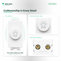 Module d'interrupteur rotatif à variateur de lumière Kolani, 220V 50Hz Max 200W 23x36mm, contrôle de luminosité progressif avec boîtier PC ignifuge