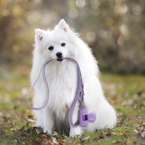 Distributeur portable de sacs à excréments pour chien, contrôle des odeurs, écologique, nouvelles couleurs - Product Image 4