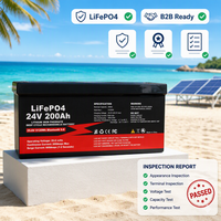 Batterie LiFePO4 haute puissance 12V 24V 48V 100Ah 200Ah 300Ah 400Ah 600Ah avec BMS JBD pour applications domestiques, solaires et véhicules électriques - Stock UE