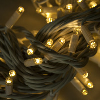 Lampu LED String Kabel Karet Berkualitas Tinggi Tahan Lama 10m Berperingkat IP68 Dapat Disambungkan 100 LED 6000K Cahaya Siang untuk Taman Liburan