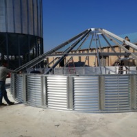 Fournisseur Or Alibaba Silo de Stockage de Riz Paddy de 500/1000/10000 Tonnes pour Ferme