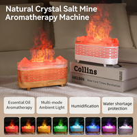 Diffuseur d'aromathérapie WMK, vente en gros d'usine OEM, 120 ml, humidificateur intelligent à brume froide USB, diffuseur d'arômes à flamme avec CE ROHS FCC
