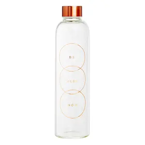 1 Liter ECO-freundliche transparente BPA-freie Borosilikatglas-Reisefruchtsaft-Wasser flasche mit Hülle