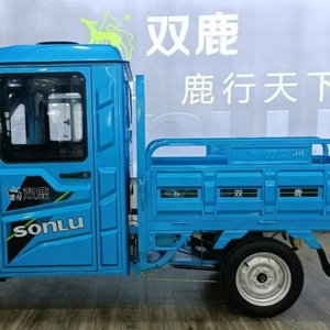 Triciclos Eléctricos de Carga con Motor de 1000W, Certificados para Uso de Pasajeros, Opciones de 48v y 72v - Product Image 3