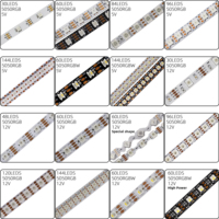 Tira de Luces LED Flexible WS2812B SK6812, Direccionable, Programable, Inteligente, DC5V USB, Luces Decorativas para Exteriores, Personalizables, Impermeables, Venta al Por Mayor
