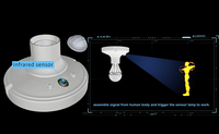 Pdlux-Detector de movimiento de cuerpo humano inteligente, luces de techo LED E27, portalámparas PIR, 50/60Hz, 6-8M