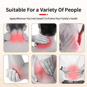 Meilleure vente d'huile à base de plantes OEM pour le soulagement instantané de la douleur Huile de massage corporel ciblant les douleurs dorsales et musculaires Plâtre chinois - Product Image 2