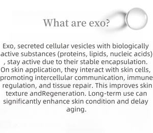 Nuevo Suero Exo de 2 Billones de Actividades, Marca Privada, Polvo Liofilizado de EGF, Polvo Exo, Microneedling - Product Image 6