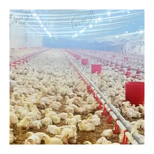 Düşük fiyat tam otomatik kontrol büyük Broiler tavuk kümesi abd'de 100 tavuk için