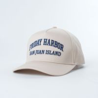 Op maat gemaakte geborduurde, hoogwaardige, gestructureerde Oxford katoenen canvas promotie souvenir baseballpet met stippenpatroon