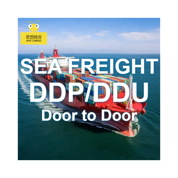 China Singapore Freight Forwarder Door-to-Door FCL Delivery Warehouse Transport Cargo Logistics Service with Sea Shipping Agent