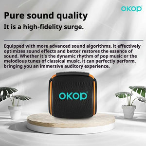 Altoparlante Portatile OKOP808 V5.3 con Illuminazione RGB, Audio Nitido, Bassi da 8W, Impermeabile IPX-1 per Feste all'Aperto e Uso con Computer - Product Image 2