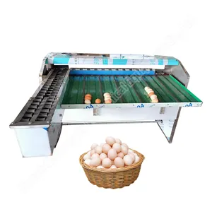 Basic Egg Grading Machine Egg Cleaning And Grading Egg Grader And Sorter Machine 3 Row