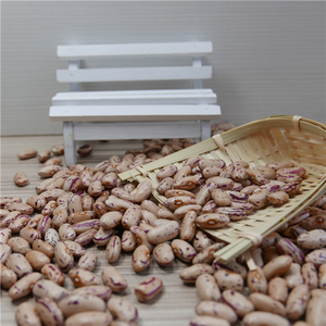 Fábrica OEM ODM Dry Non GMO Light Speckled Pinto Beans Frijoles de riñón rojos y blancos - Product Image 4