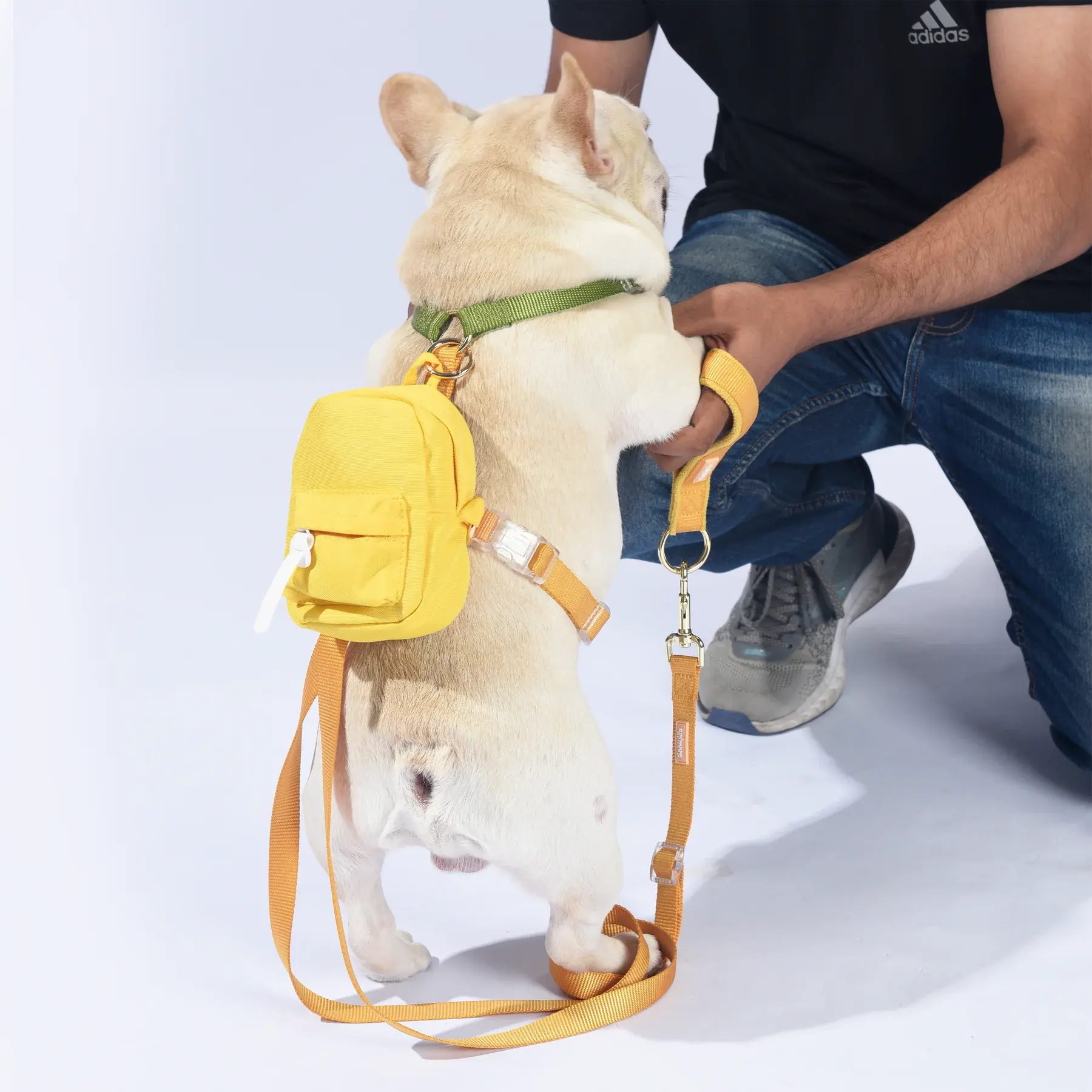 2023 usos múltiples moda exterior pequeño Arco Iris Mini Lindo bolso personalizado monederos mochila para perros productos para mascotas accesorios para perros