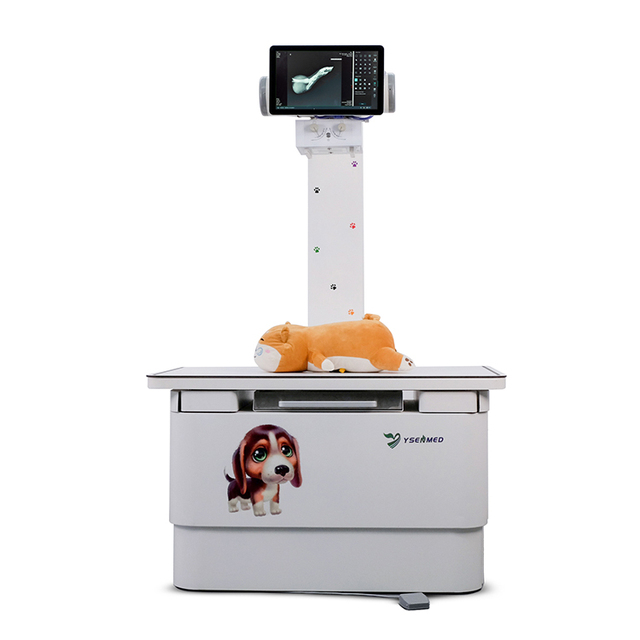 Manufacturer Hot Sale Digital Veterinary X Ray Machine with Table 1.2m 1.4m Durable Tube Flat Panel Detector for Big Animal
