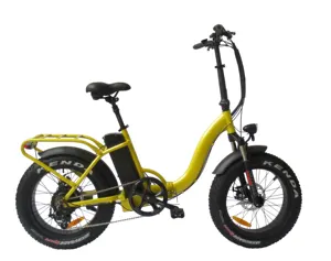 QUEENE/Heißer Verkauf Hohe Qualität 20 Inch 500W Fett Reifen Falten Elektro-bike
