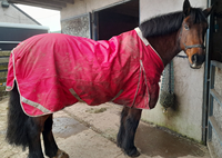 Couverture d'extérieur imperméable verte pour cheval avec col en fausse fourrure, résistante à la pluie, pour l'hiver