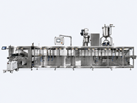 Machine d'emballage automatique Acepack HFFS DS-240SXC pour sachets, qualité alimentaire, liquides/jus/détergents, pompe servo haute précision