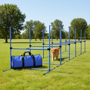 Ensemble d'agilité pour chien, 6 pièces, hauteur réglable, bleu, avec sac de transport, pour l'entraînement des animaux de compagnie - Product Image 2