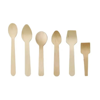 Trendz de qualité alimentaire biodégradable fête petit ensemble de vaisselle en bois après-midi thé Dessert cuillère en bois fourchette couteau ensembles de couverts