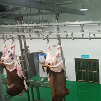 Máquina de Matadero de Reses, Línea de Sacrificio de Vacas, Equipo de Sacrificio de Ganado, Maquinaria de Matadero