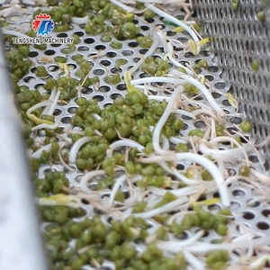 Automatique machine à laver à bulles pour les légumes surgelés <span class=keywords><strong>prix</strong></span> agricole tomates cerises machine à laver les fruits et légumes - Product Image 6