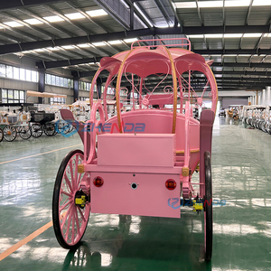 Chariot de balade électrique Zhenda Pink Princess Carriage, chariot de mariage sans chevaux pour extérieur, véhicule électrique à vendre - Product Image 6