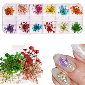 Flores 3D para Decoración de Uñas, Adornos Secos para Manicura, Diseños de Encaje Prensado para Uñas, Día de San Valentín, Año Nuevo, Venta al Por Mayor - Product Image 1